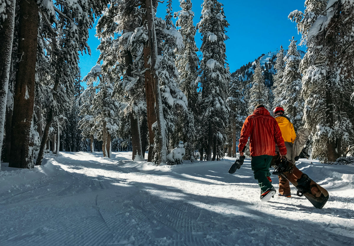 Winter
